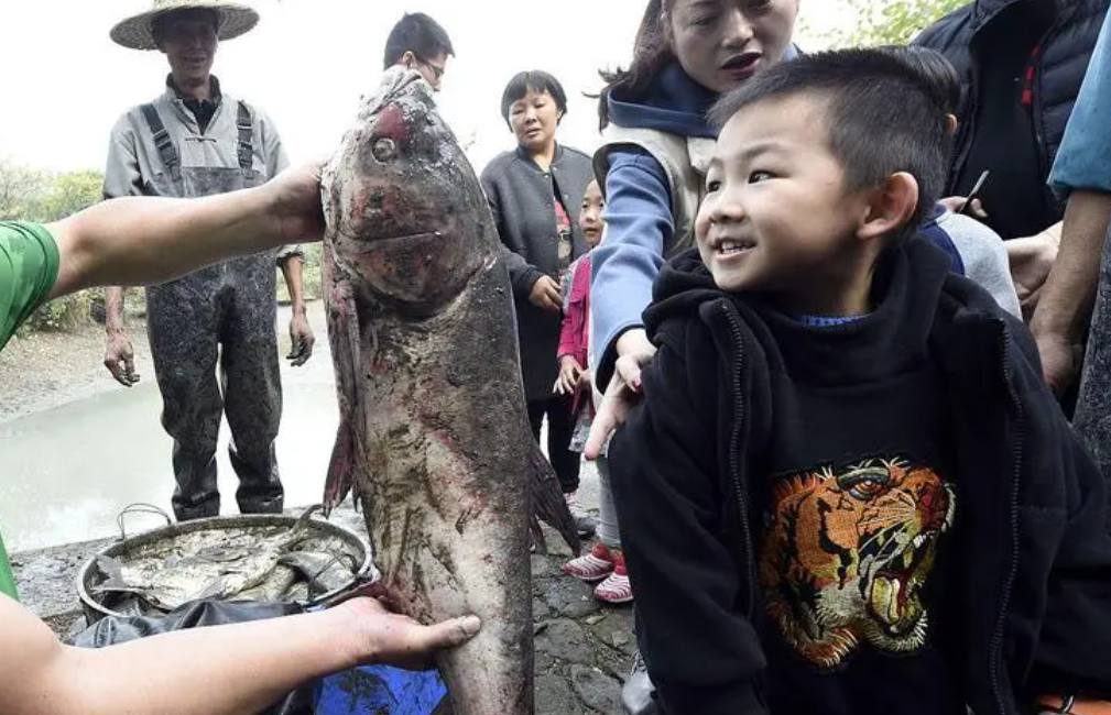 霍光|因不违规, 摸鱼大队撒网过河, 钓鱼人无奈感慨, 资源都被霍霍光了