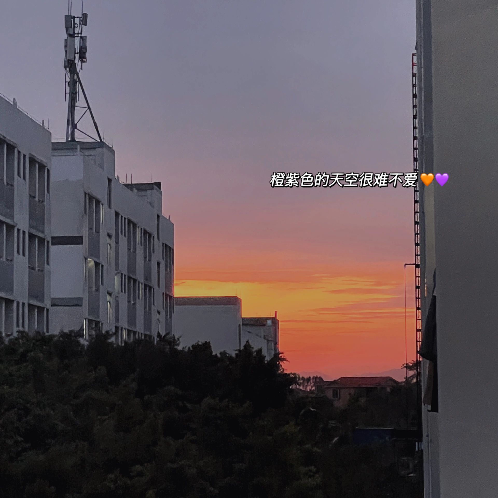 朋友圈plog|十一月文案|\uD83E\uDD40“衔着晚秋的浪漫”