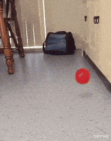 芹菜 “理发师给我吹完发型的我,和自己吹头发的我,我人傻了好吗”上当了