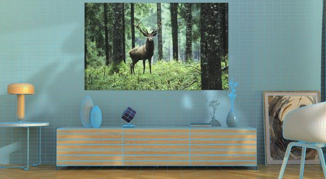 联想|联想官网618终极攻略,限时红包抽不停,会员专属豪礼权益!