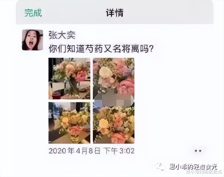 张大奕|张大奕订婚，董花花当网红，总裁终究是错付了