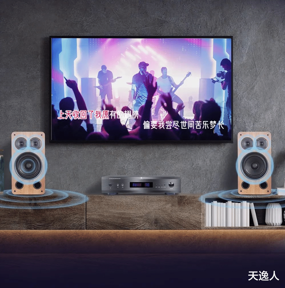 音箱|大功率卡拉OK套装推荐，让唱歌也不同凡响