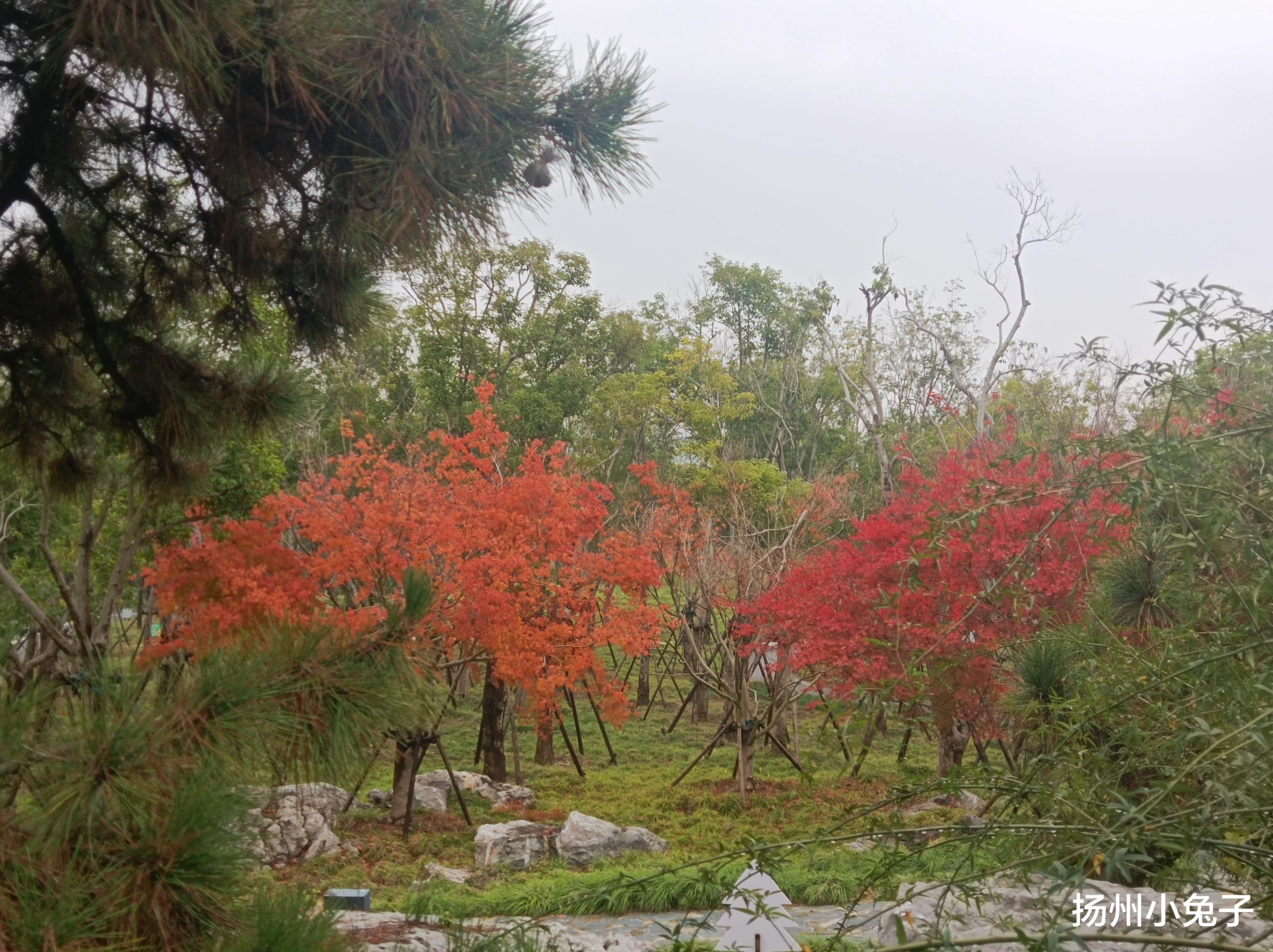 白雪|西峰之上，有一个宝藏园子隐藏隐藏其中，你知道多少？