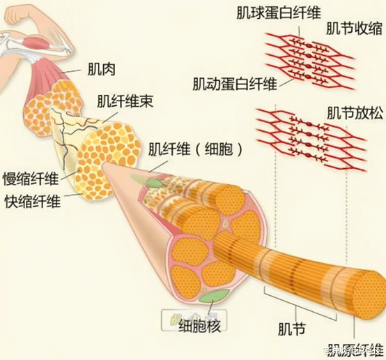 人死之后,我们的意识去哪了,是否就真的彻底灰飞烟灭了吗?