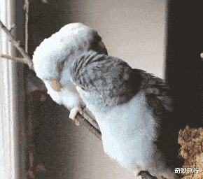 |坐地铁碰到最美阿姨,偷瞄被她发现了,该怎么办?