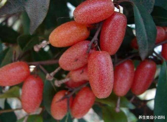 仅仅4种水果, 认全的不多, 第一种就难倒一大片!