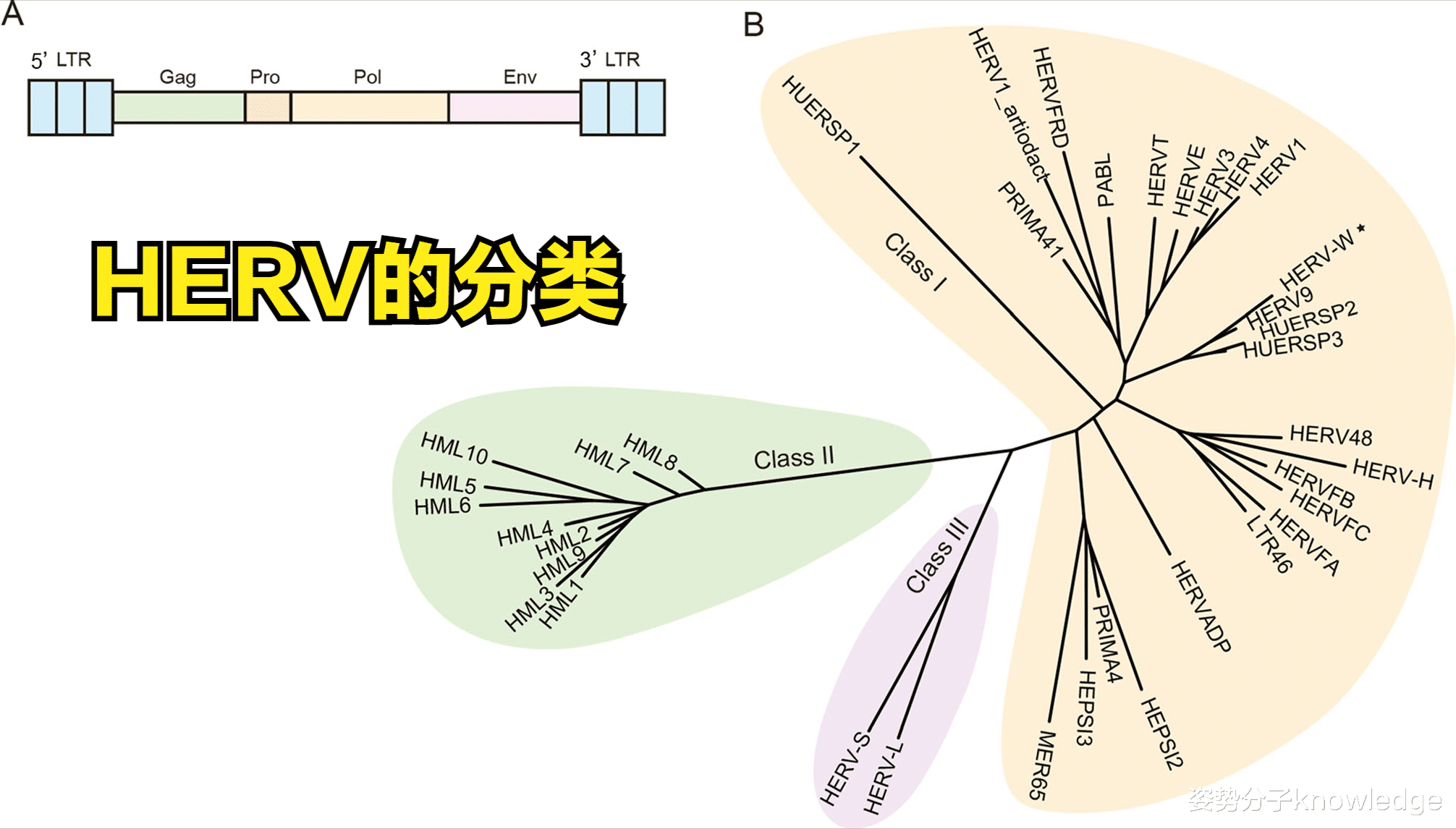 在人体内潜伏3500万年,史前病毒遗传物质或将觉醒!我们该担心吗