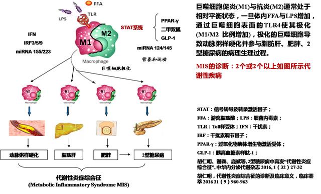 血糖|空腹血糖超过10怎么办？可以试试肠道菌群重建方案，快来看看案例