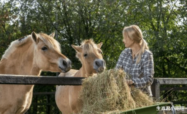 小姐姐|好运连连惊喜不断，属马人在职场中得到贵人帮扶，事业一飞冲天