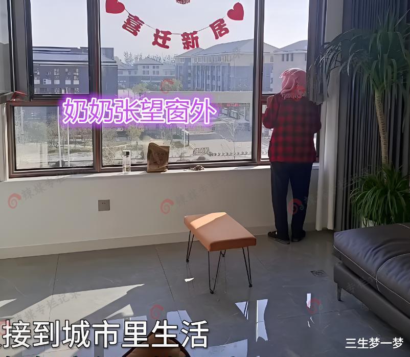 女子接奶奶到城里享福,进城后无精打采回村判若两人,骑三轮串门