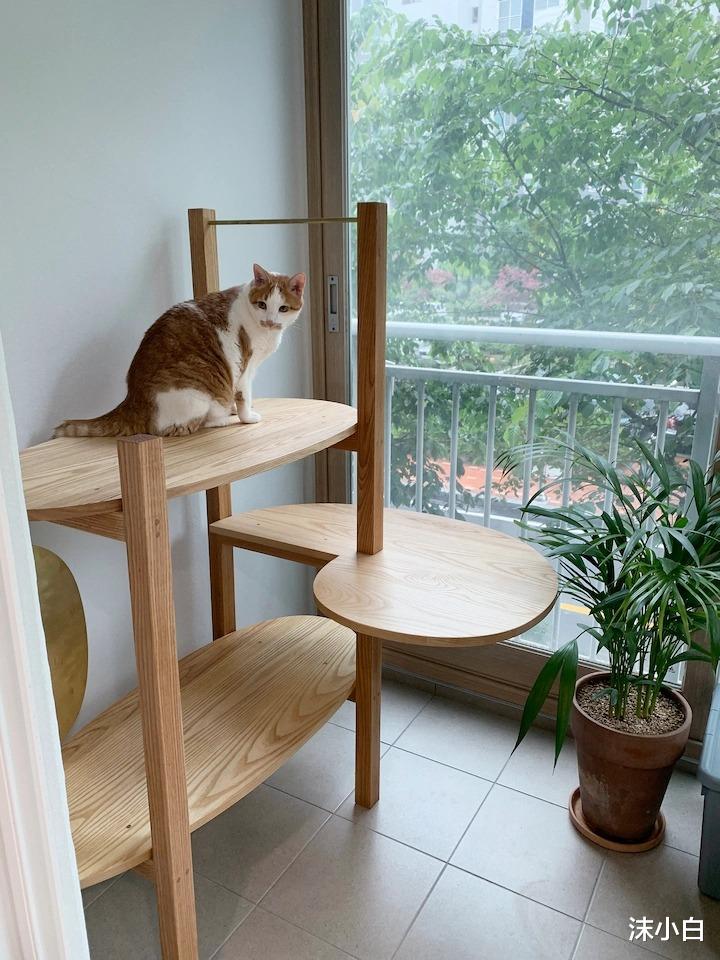 双职工夫妻,去“客厅化”设计,结婚7年依然对生活充满热爱!