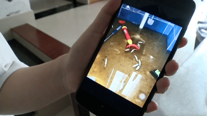 |飞来横祸，一觉醒来，卫生间堵塞，疏通后涌出小鲫鱼，哪来的？