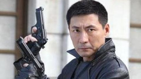 张子健|“雷剧专业户”张子健，演火燕双鹰，塑造五大经典角色