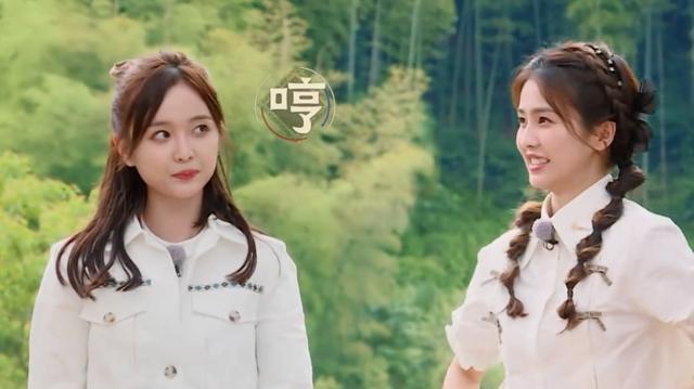 明星|只看脸显胖,实际上真人一个比一个瘦,女明星脸胖到底有多吃亏?