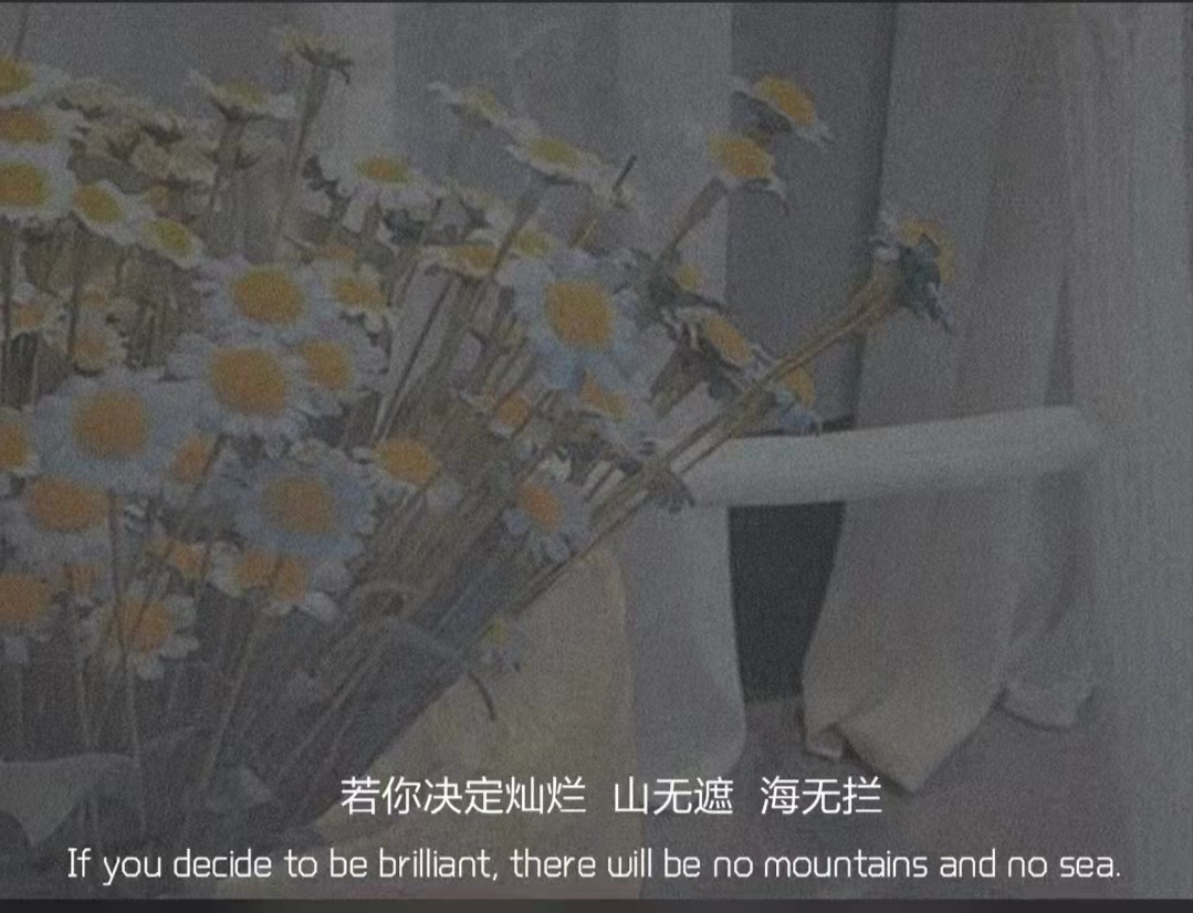 安卓|央视文案才是顶级文案