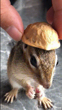 |“这是我们江西的彩礼,别的省有这么多吗?”有被酸的到吗?