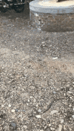 保安|着急给姑娘找工作的妈妈该有多操心？哈哈哈保安这个工作可以一试