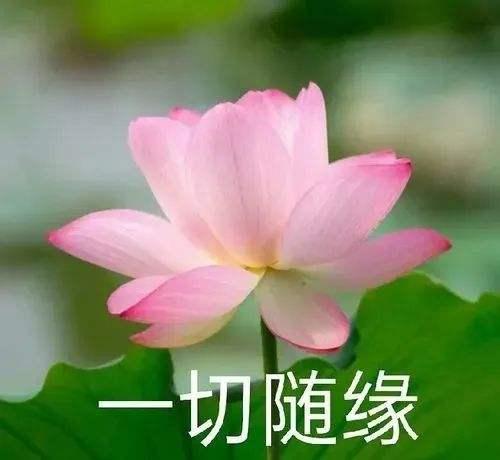 经典|相亲式生活,这届年轻人在玩一种很旧的东西