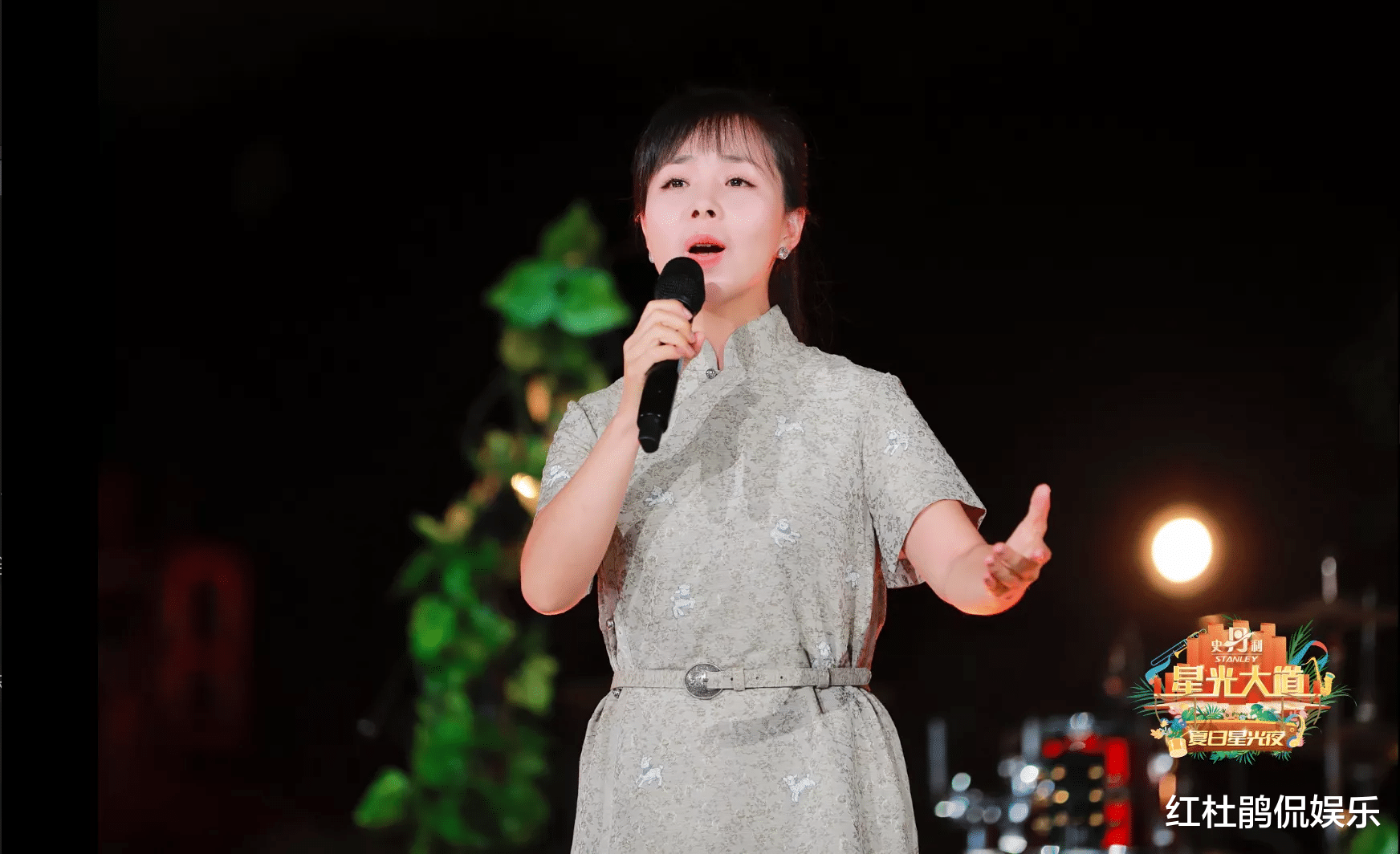 星光大道|《星光大道》夏日星光夜，众多历届选手回娘家，发展现状两极分化