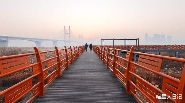 日出|武汉城区有个观日出的好地方，穿过汉口江滩，芦苇栈桥上视野正好