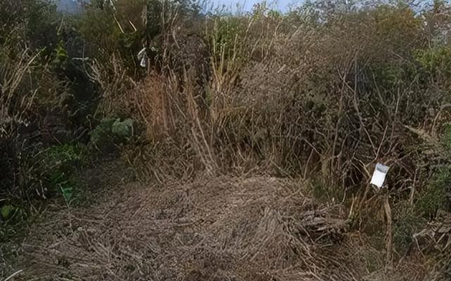 14年前,北京教师爬山时离奇失踪,搜救队找到一纸条引发无数猜想