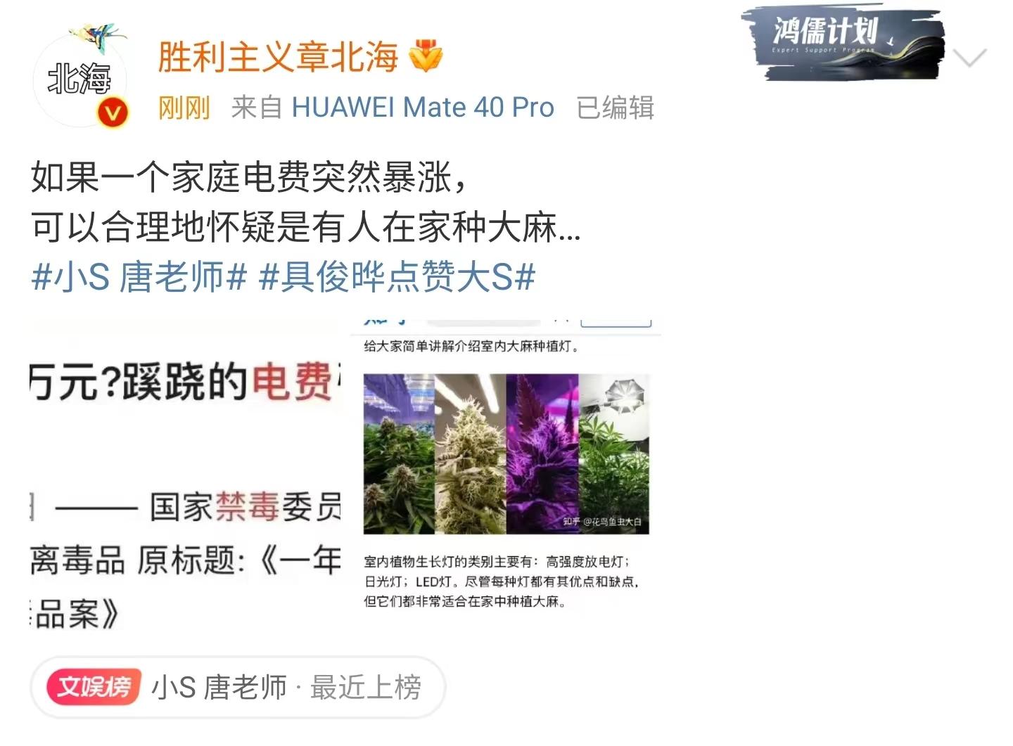 大S|曝大S姐妹吸毒？天价电费疑似种植违禁品，S妈认怂求别说了