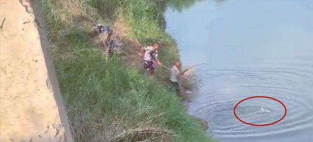 大爷|人鱼大战!大爷垂钓中大鱼,反被拉进了水里,网友:独乐不如众乐