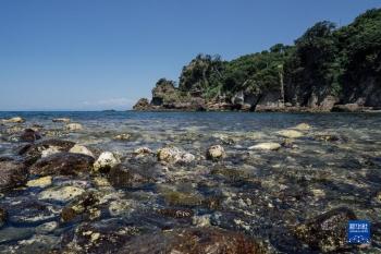 旅行团|伊豆半岛掠影「图」