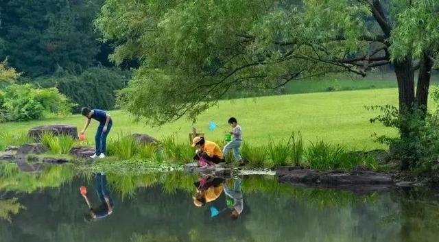 丹霞地貌|“出圈”的露营如何“走远”？（内附魔都公园露营指南）