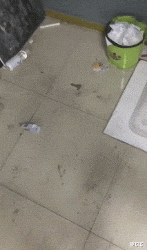 娱乐圈|央视爸爸：拯救不了娱乐圈，那我就接手娱乐圈