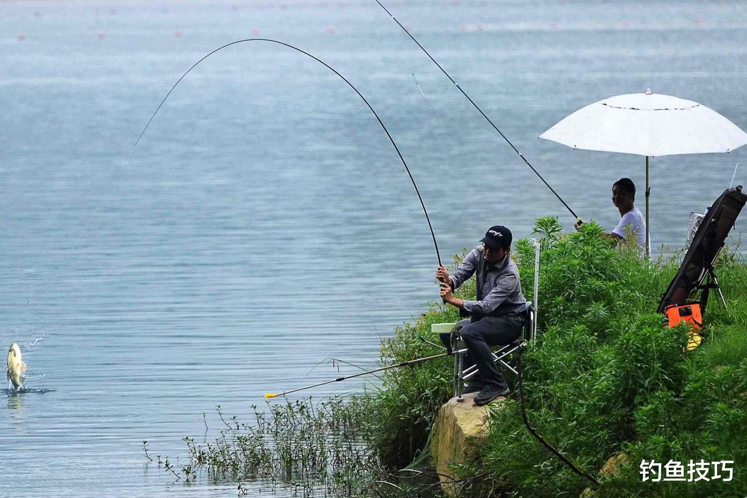 |为什么野钓经常钓不到鱼?野钓最容易犯的4个常见错误