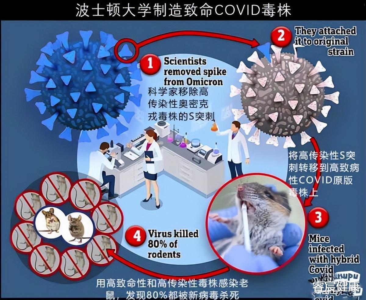 反人类的研究！美国科学家研制新病毒，死亡率高达80%