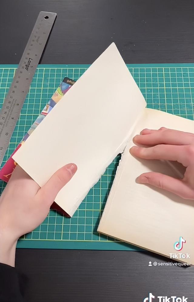 J.K.罗琳|讨厌罗琳,但又想看哈利波特,LGBT群体高价买抠掉罗琳名字的书籍