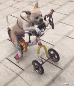 |“入住宾馆遇到这种情况怎么办？”愣着干啥？赶快捡漏啊！