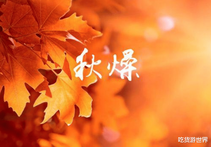 入秋进补,红薯南瓜靠边站,吃它防秋燥,健脾补气血,煮着吃甜糯