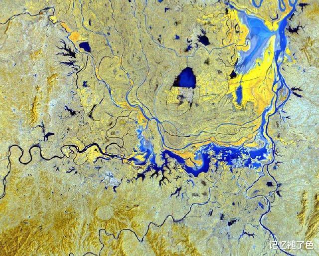 草原|洞庭湖“瘦成了一道闪电”，湖床变广袤草原，大量鱼类干死在河床