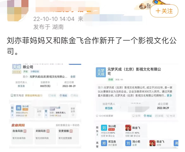 刘亦菲|刘亦菲妈妈与陈金飞合开公司!双方再次公开合作,杨采钰恐被抛弃
