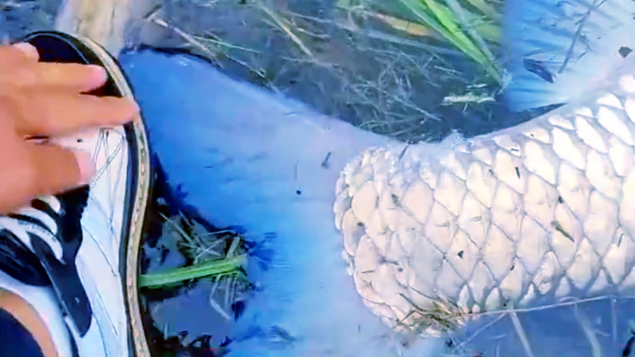 |男子钓鱼时突然“洗鞋”，随后镜头一转大家秒懂：醉翁之意不在酒