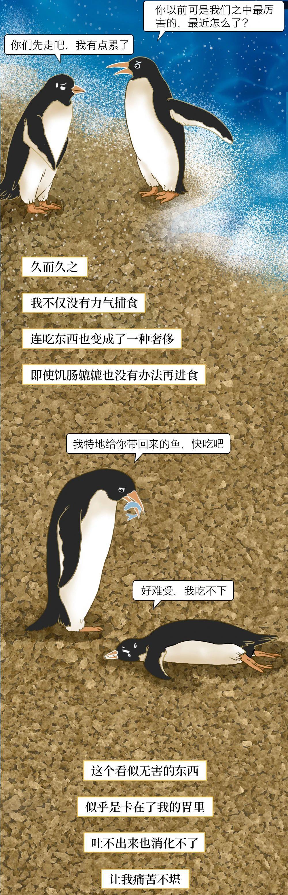 |约450年才能降解！你随手丢掉的口罩，正在“杀死”它们（漫画）