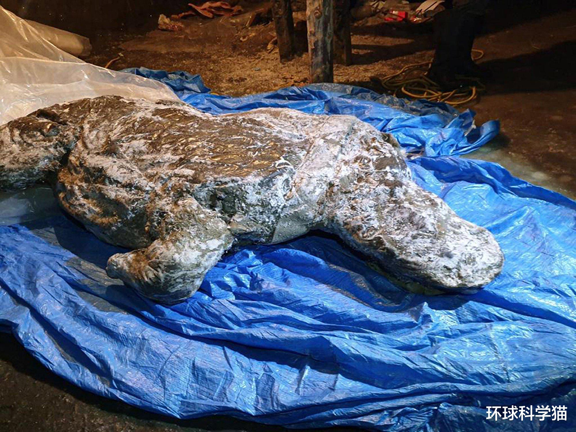 长1.4米,北美挖出3万年前史前生物尸体,地球潘多拉魔盒被打开?