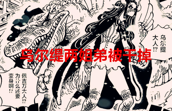 海贼王|海贼王1040话：大妈一战，被冠以“友军王”称号，她确实战功赫赫