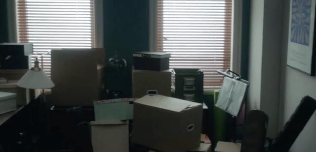 白百何|热搜上的白百何：从职场消失后，独自买房搬家，住10万一平的公寓