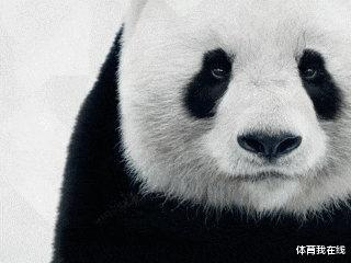 神回复|神回复：一觉睡醒，发现自己是一线明星，你会先做什么？