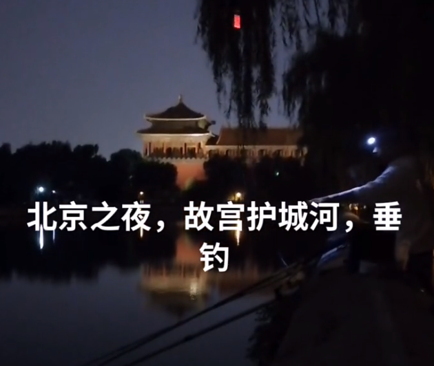 大爷|北京大爷就是北京大爷, 故宫护城河钓到一米草鱼, 被人看到赶忙放生