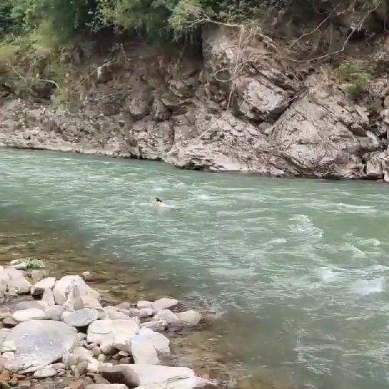 女子跳入水流湍急的河中，被急流的河水冲到下游，还朝岸上的人笑