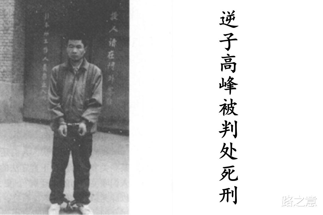 母亲娇宠溺爱儿子,只因训斥儿子几句惨遭杀害,1999年河南弑母案