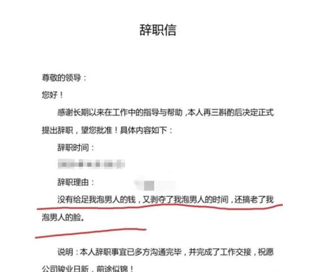 程序员|女程序员辞职信走红，每句都“话中带刺”，怼得老板无法反驳