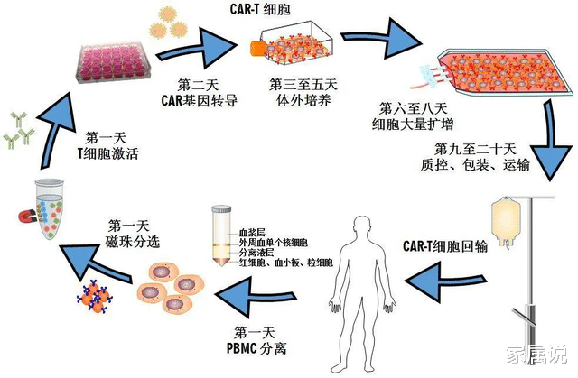 什么样的癌症患者使用CAR-T疗法效果最好?找准靶点很重要!