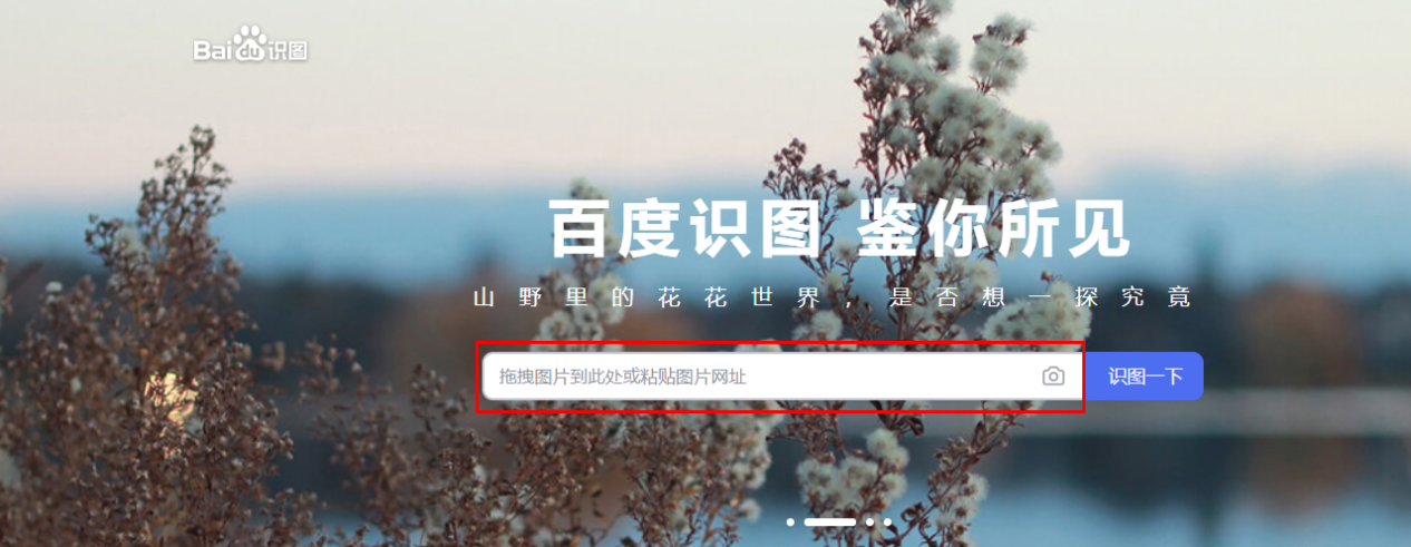 怎么去图片水印?这些去水印方法简单又好用