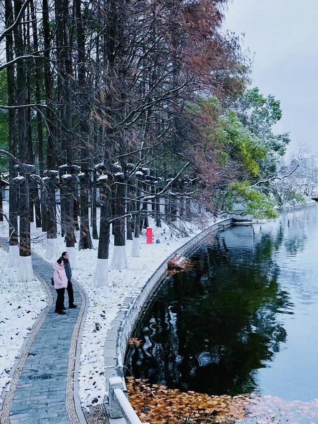 白雪|如入画境！在东湖迎接2023第一场雪